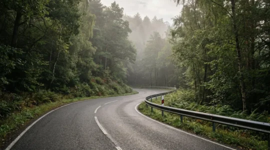 Route secondaire sinueuse avec virage sans visibilité et dispositif de signalisation préventive
